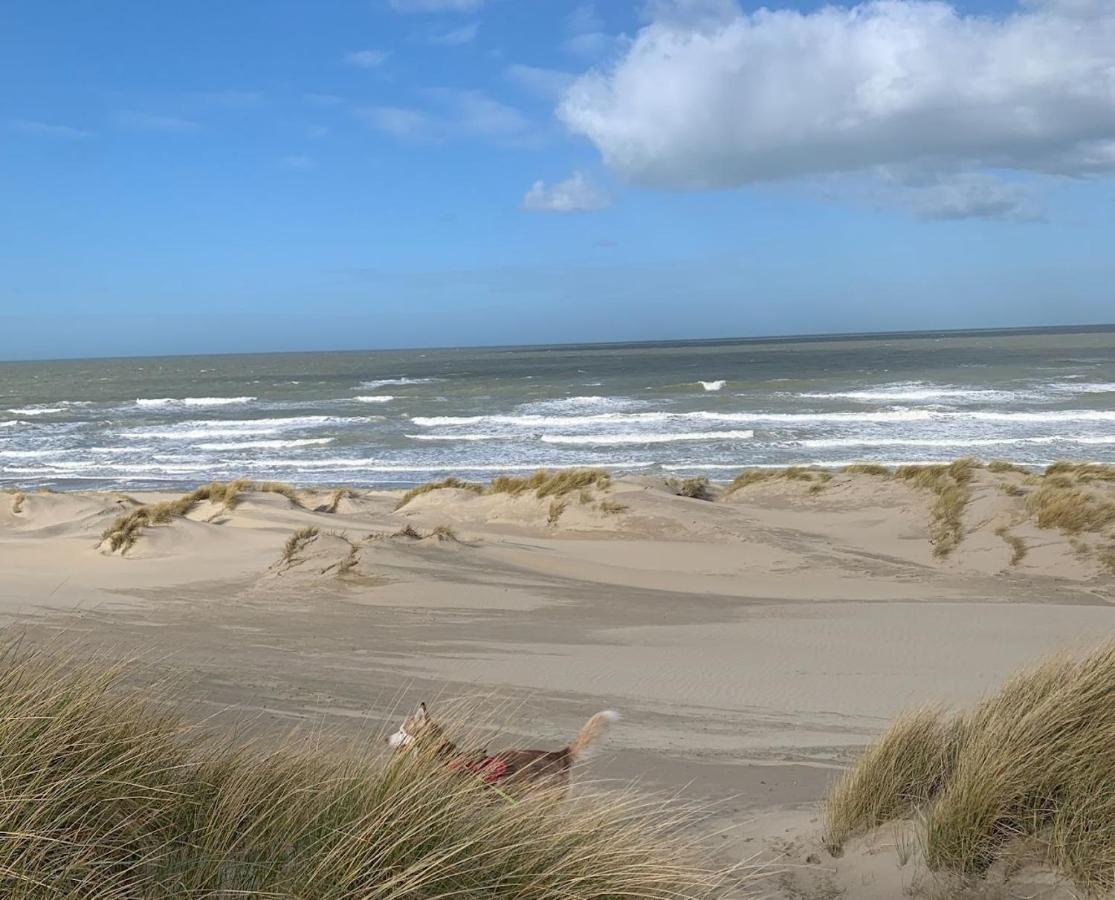 Moderne Studio Aan Het Strand In Oostduinkerke-Bad 科克赛德 外观 照片